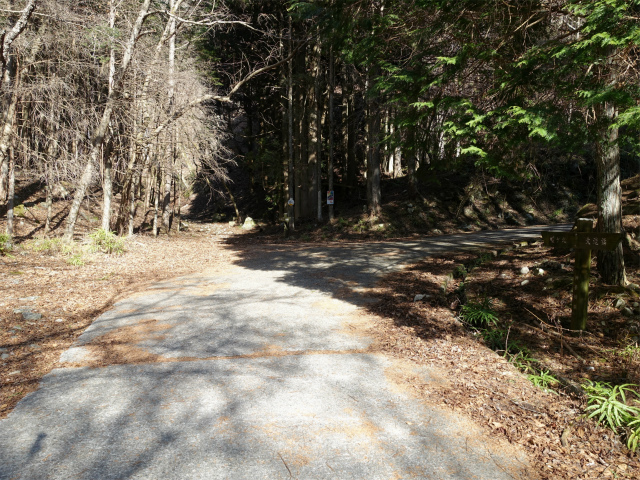 畦ヶ丸(大滝コース)登山口コースガイド 登山道分岐【登山口ナビ】