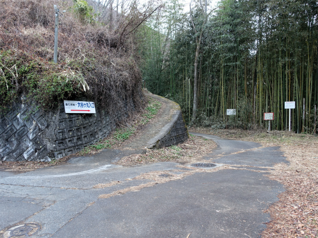 ハマイバ・大蔵高丸（景徳院～曲り沢峠）登山口コースガイド 登山道分岐【登山口ナビ】