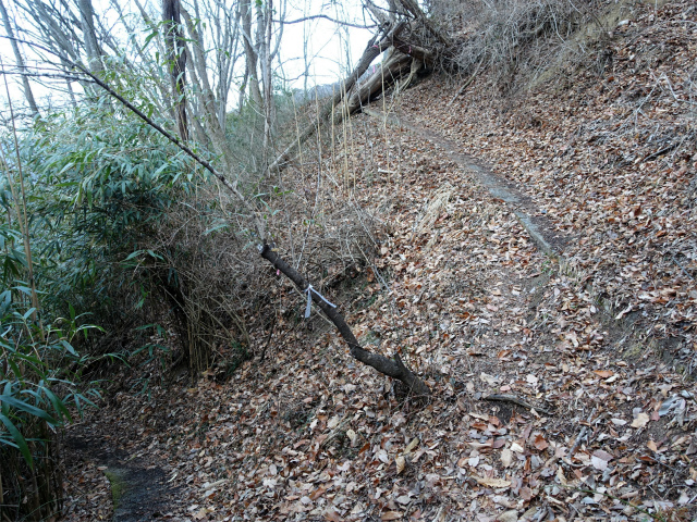 ハマイバ・大蔵高丸（景徳院～曲り沢峠）登山口コースガイド 法面上の小径【登山口ナビ】