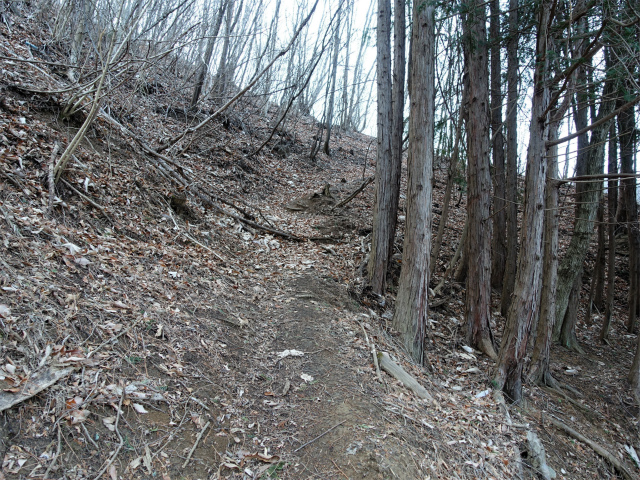 ハマイバ・大蔵高丸（景徳院～曲り沢峠）登山口コースガイド 尾根筋【登山口ナビ】
