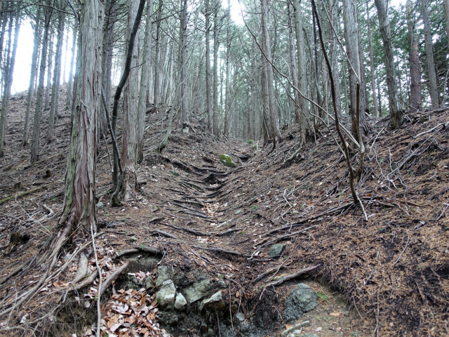 ハマイバ・大蔵高丸（景徳院～曲り沢峠）登山口コースガイド【登山口ナビ】