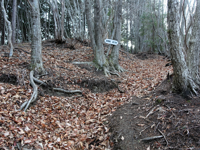 ハマイバ・大蔵高丸（景徳院～曲り沢峠）登山口コースガイド 指導標【登山口ナビ】