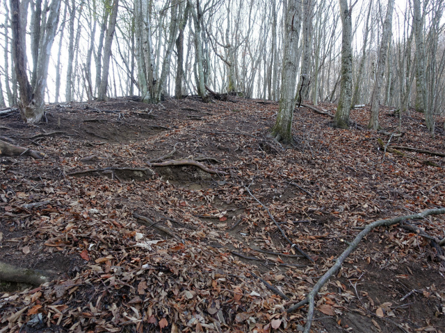 ハマイバ・大蔵高丸（景徳院～曲り沢峠）登山口コースガイド 急登【登山口ナビ】