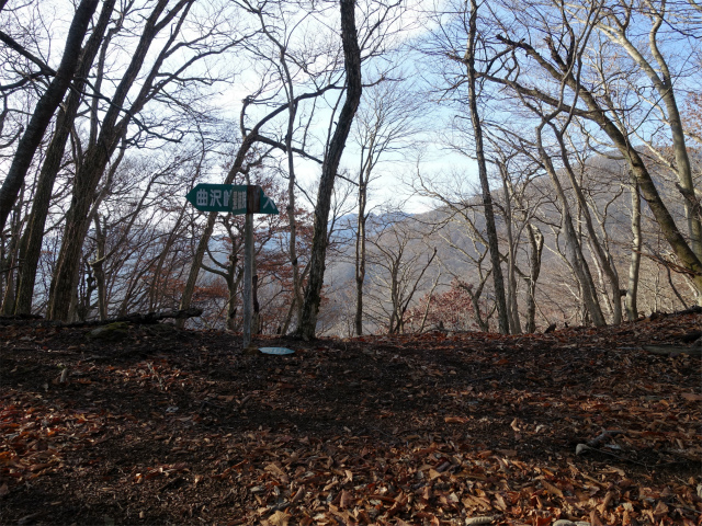 ハマイバ・大蔵高丸（景徳院～曲り沢峠）登山口コースガイド 大鹿山分岐【登山口ナビ】