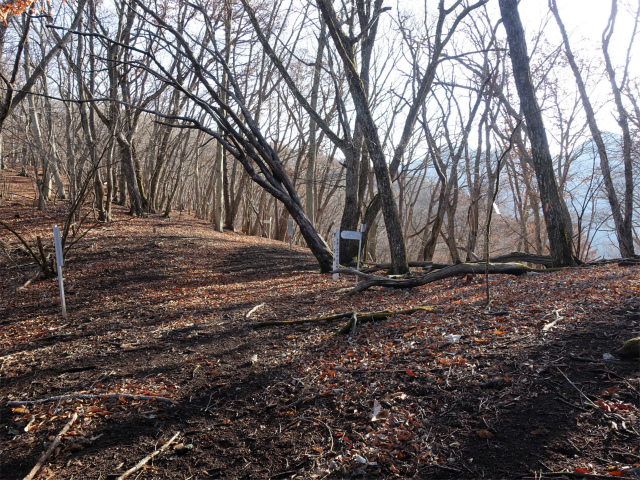 ハマイバ・大蔵高丸（景徳院～曲り沢峠）登山口コースガイド 曲り沢峠（平ツ沢峠）【登山口ナビ】