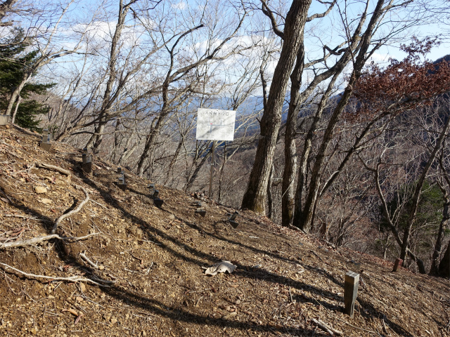 ハマイバ・大蔵高丸（景徳院～曲り沢峠）登山口コースガイド 大鹿峠分岐【登山口ナビ】