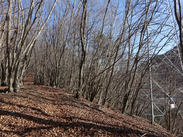 ハマイバ・大蔵高丸（景徳院～曲り沢峠）登山口コースガイド 送電線鉄塔【登山口ナビ】