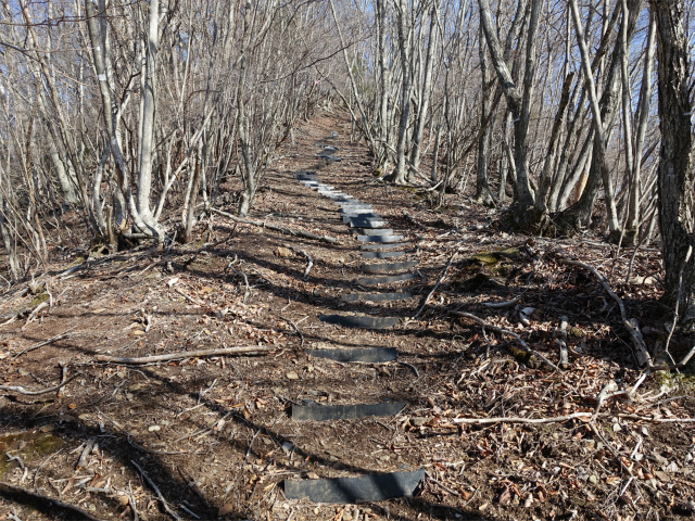 ハマイバ・大蔵高丸（景徳院～曲り沢峠）登山口コースガイド 送電線巡視道階段【登山口ナビ】