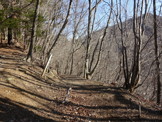 ハマイバ・大蔵高丸（景徳院～曲り沢峠）登山口コースガイド 小ピーク巻き道【登山口ナビ】