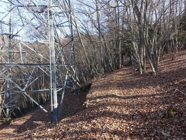 ハマイバ・大蔵高丸（景徳院～曲り沢峠）登山口コースガイド 送電線鉄塔【登山口ナビ】