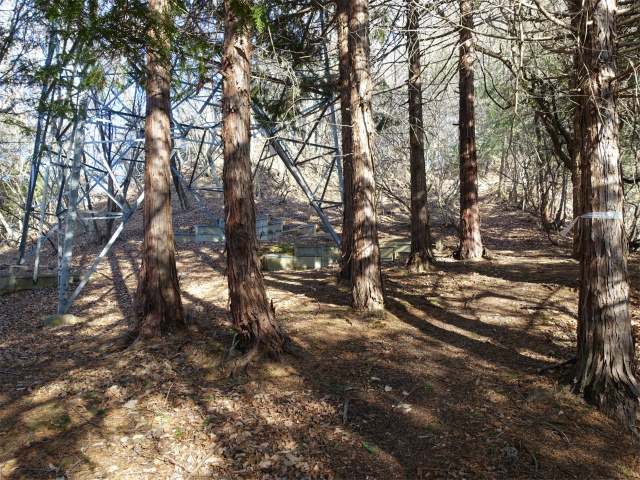 ハマイバ・大蔵高丸（景徳院～曲り沢峠）登山口コースガイド 送電線鉄塔【登山口ナビ】