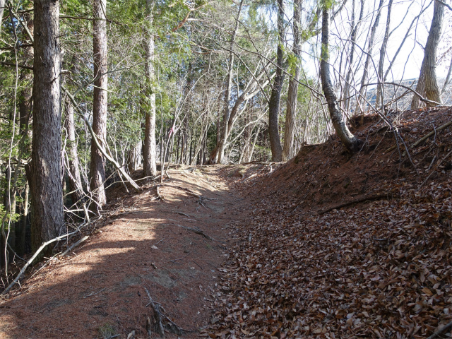 ハマイバ・大蔵高丸（景徳院～曲り沢峠）登山口コースガイド 尾根筋【登山口ナビ】